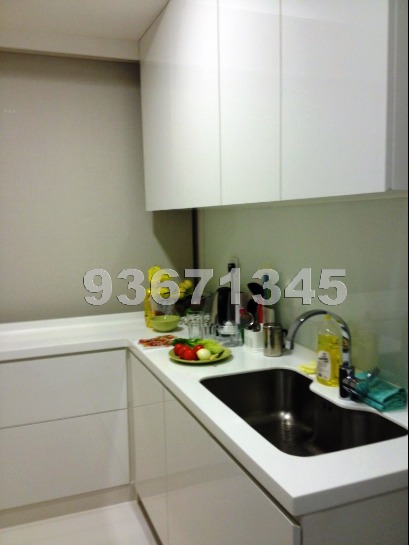 Ascentia Sky (D3), Condominium #671462